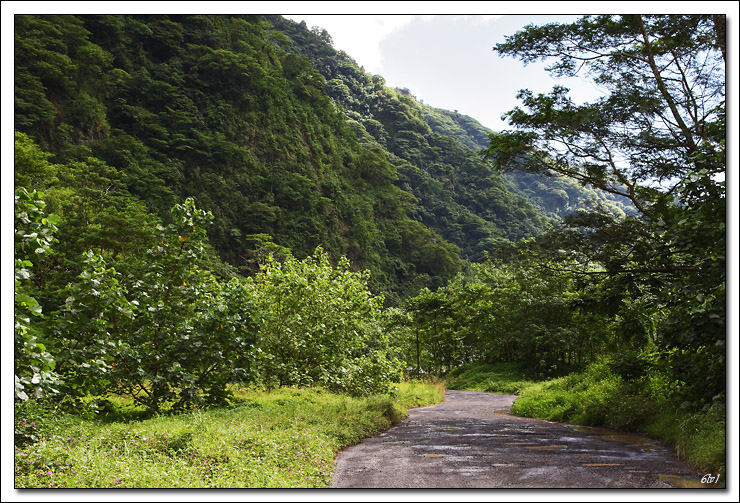 40D11076 cs cadre2.jpg - Tahiti - Vallée de la Papenoo